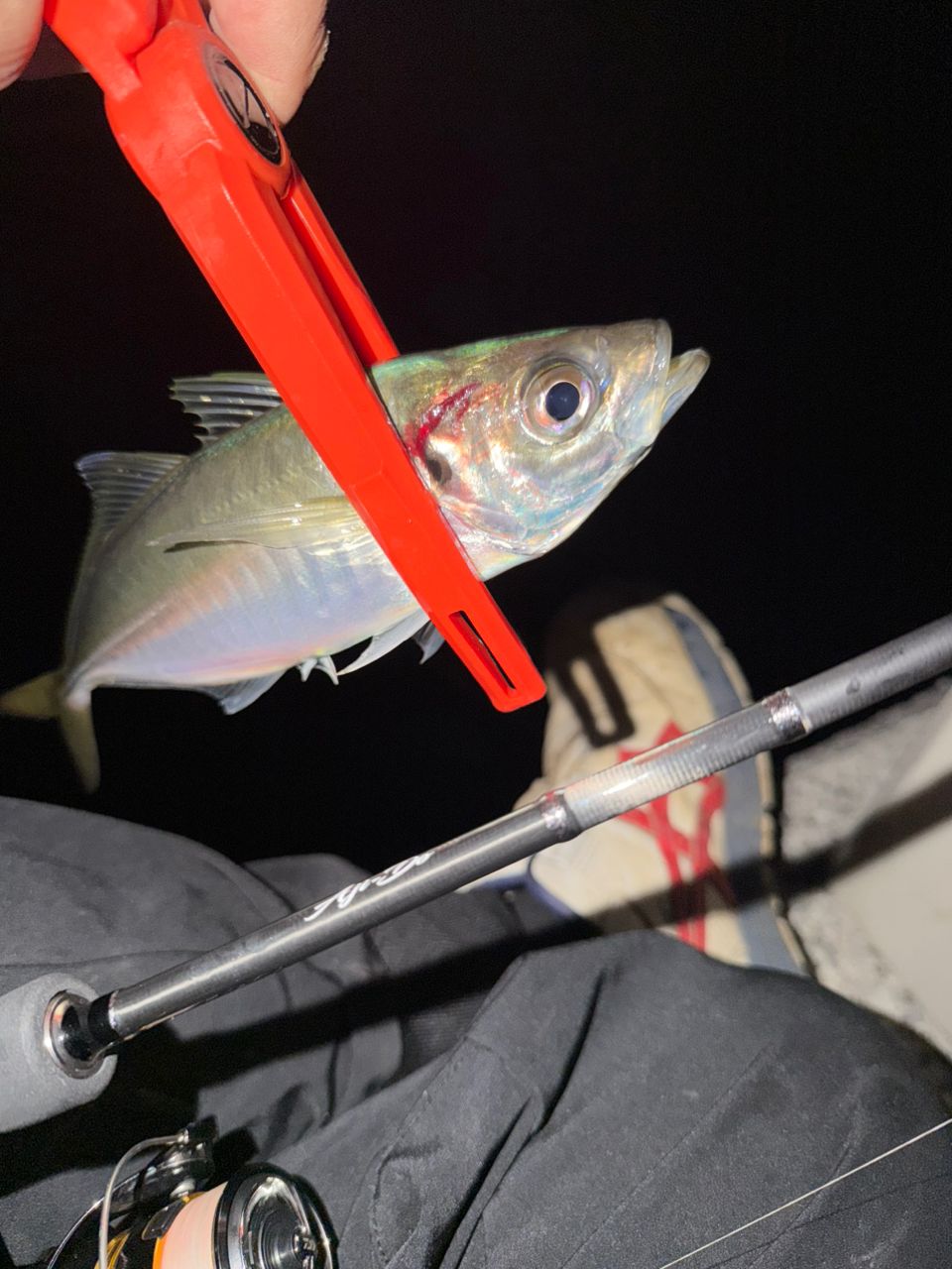 MajorCraft 鯵道 5G AD5-S622M/AJIの最安値・インプレ・釣果 | 本音の