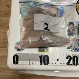 ショウサイフグ