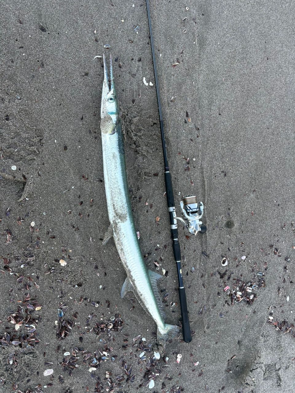 SHIMANO 19コルトスナイパー SS S100Mの最安値・インプレ・釣果 | 本音