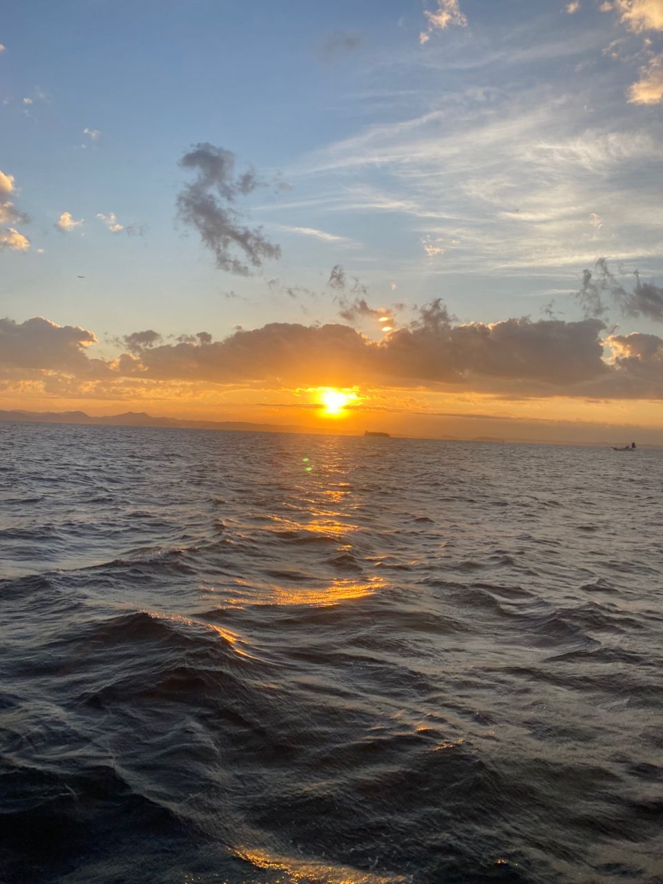 オトコマエさんの釣果 2枚目の画像