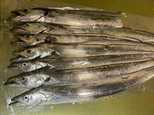 東京湾（アクアライン〜富津）