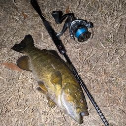 スモールマウスバス