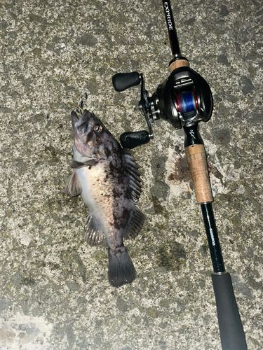 小湊漁港（青森）