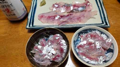 マアジの釣果