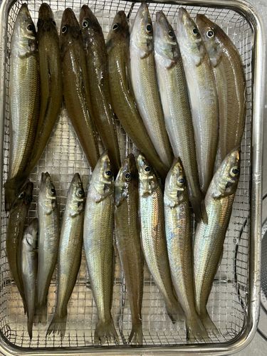 茅ヶ崎ヘッドランド