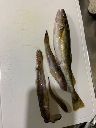 小樽港厩町岸壁