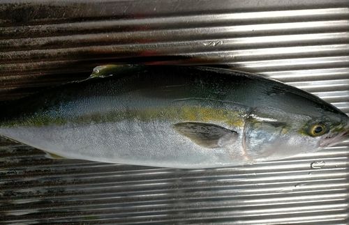 新舞子海岸（いわき）