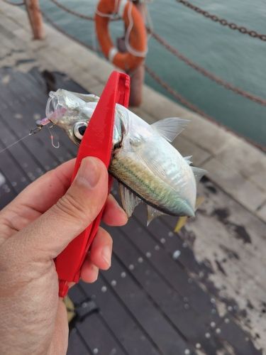 小名浜港アクアマリンふくしま周辺