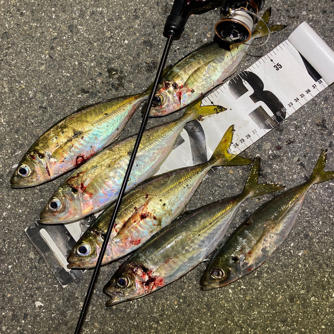 がまかつ ラグゼ　宵姫　華　S54FL-solid Gamakatsu ラグゼ 宵姫 華 弍 S54FL-solidの最安値・インプレ・釣果