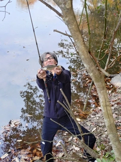 ブラックバスの釣果