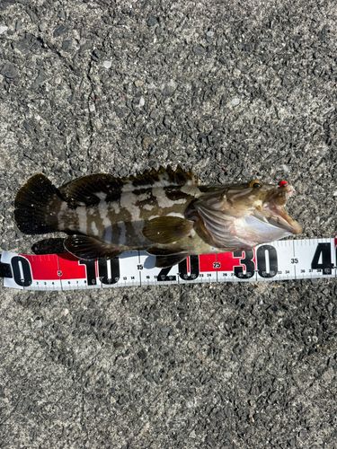 平川ヨットハーバー