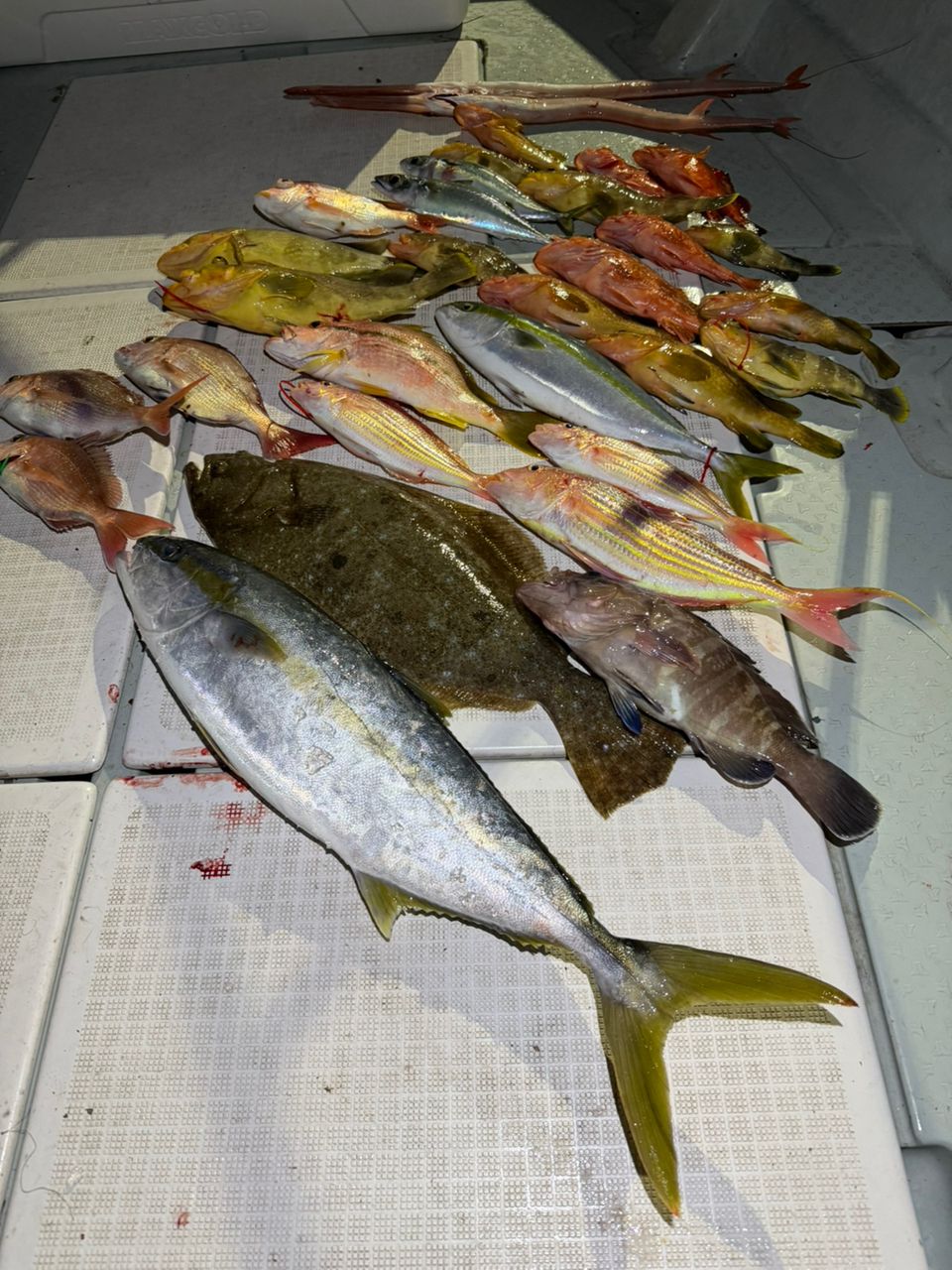 遊漁船supportさんの釣果 2枚目の画像