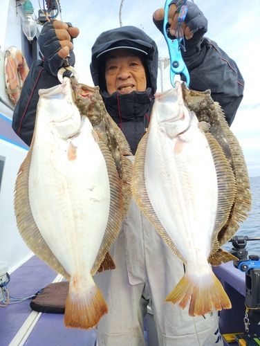 ヒラメの釣果