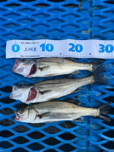 オリジナルメーカー海釣り公園