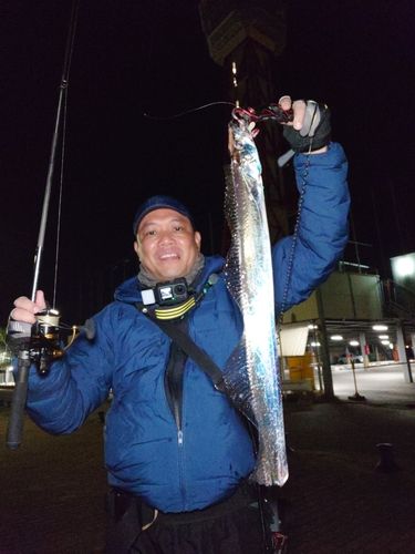 タチウオの釣果