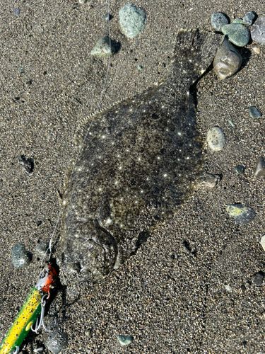 辻堂海浜公園前