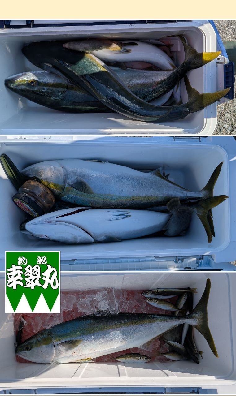 幸翠丸さんの釣果 2枚目の画像