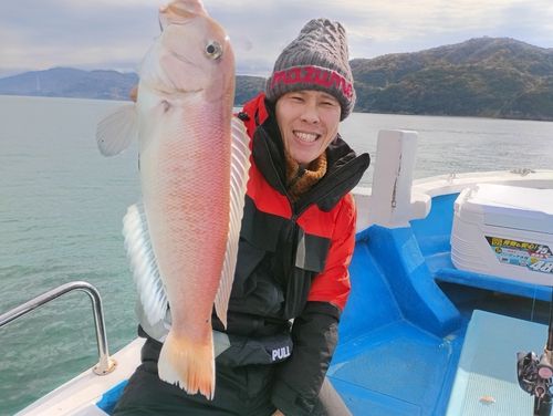 アマダイの釣果