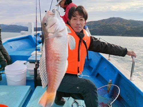 アマダイの釣果