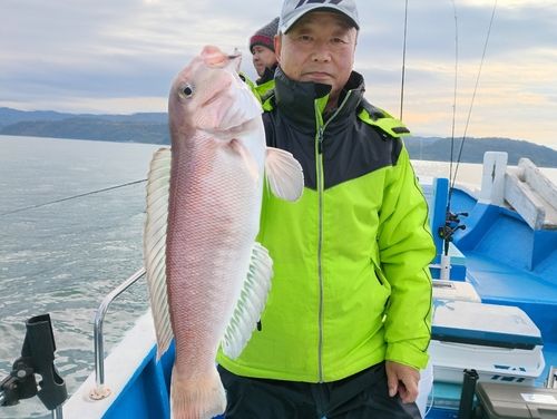 アマダイの釣果