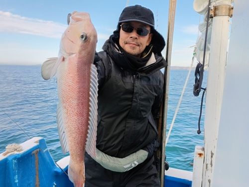 アマダイの釣果