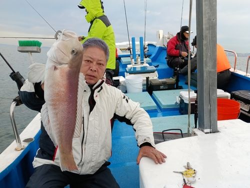 アマダイの釣果