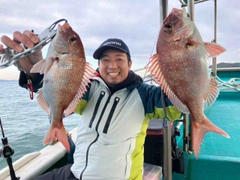 マダイの釣果