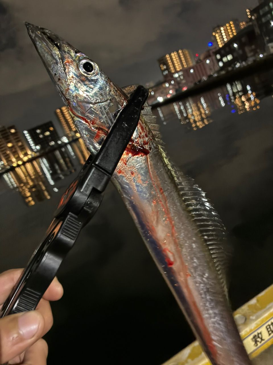 DAIWA エメラルダス AIR AGS 2020年モデルの最安値・インプレ・釣果