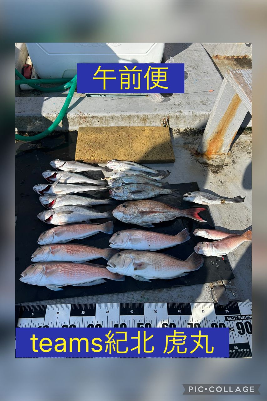 釣り船 虎丸さんの釣果 1枚目の画像