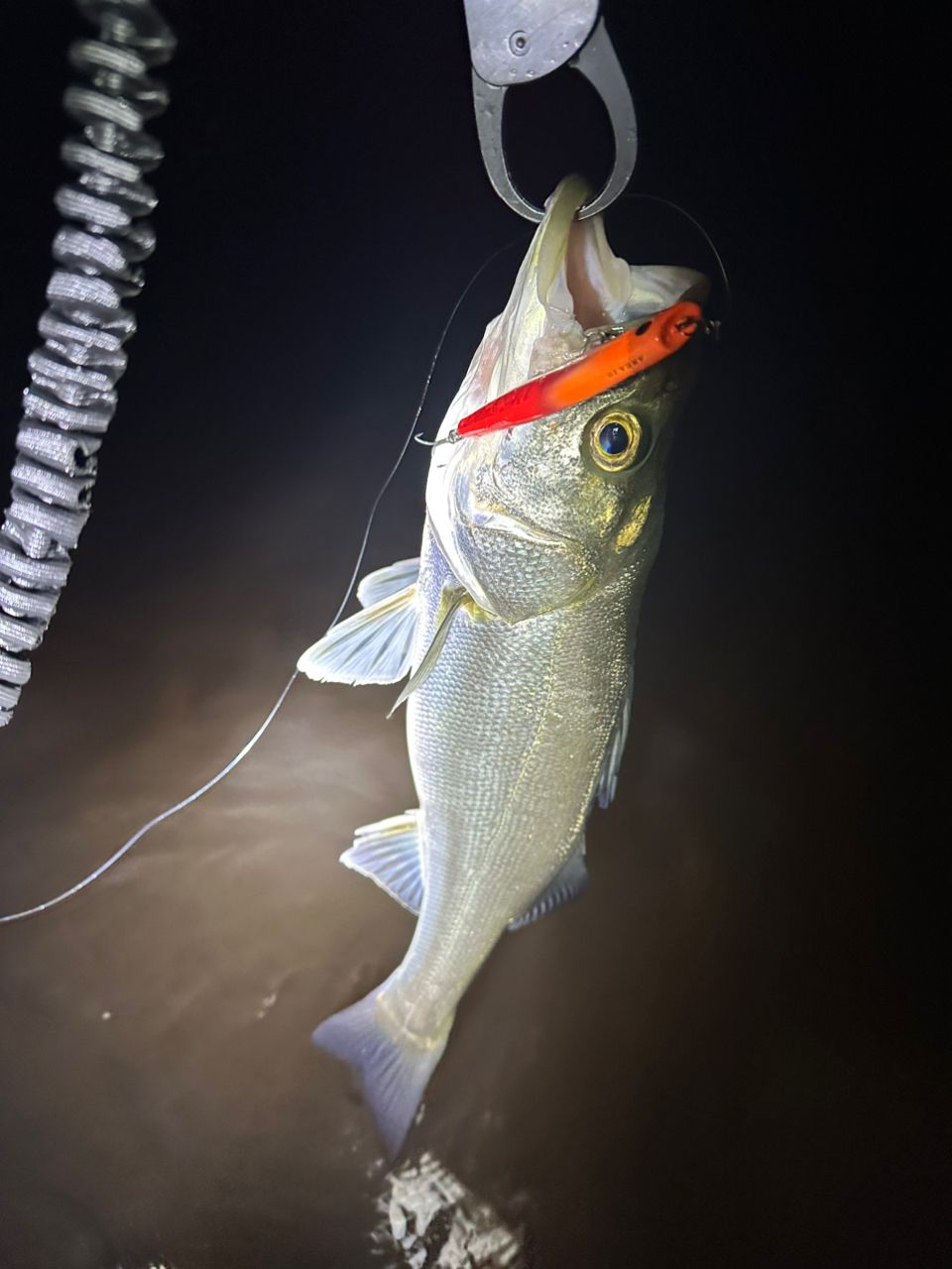 TULALA ハーモニクス スタッカートの最安値・インプレ・釣果 | 本音の