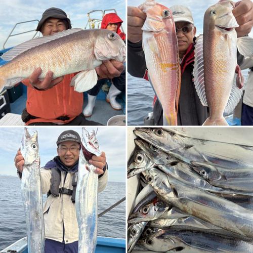 シロアマダイの釣果