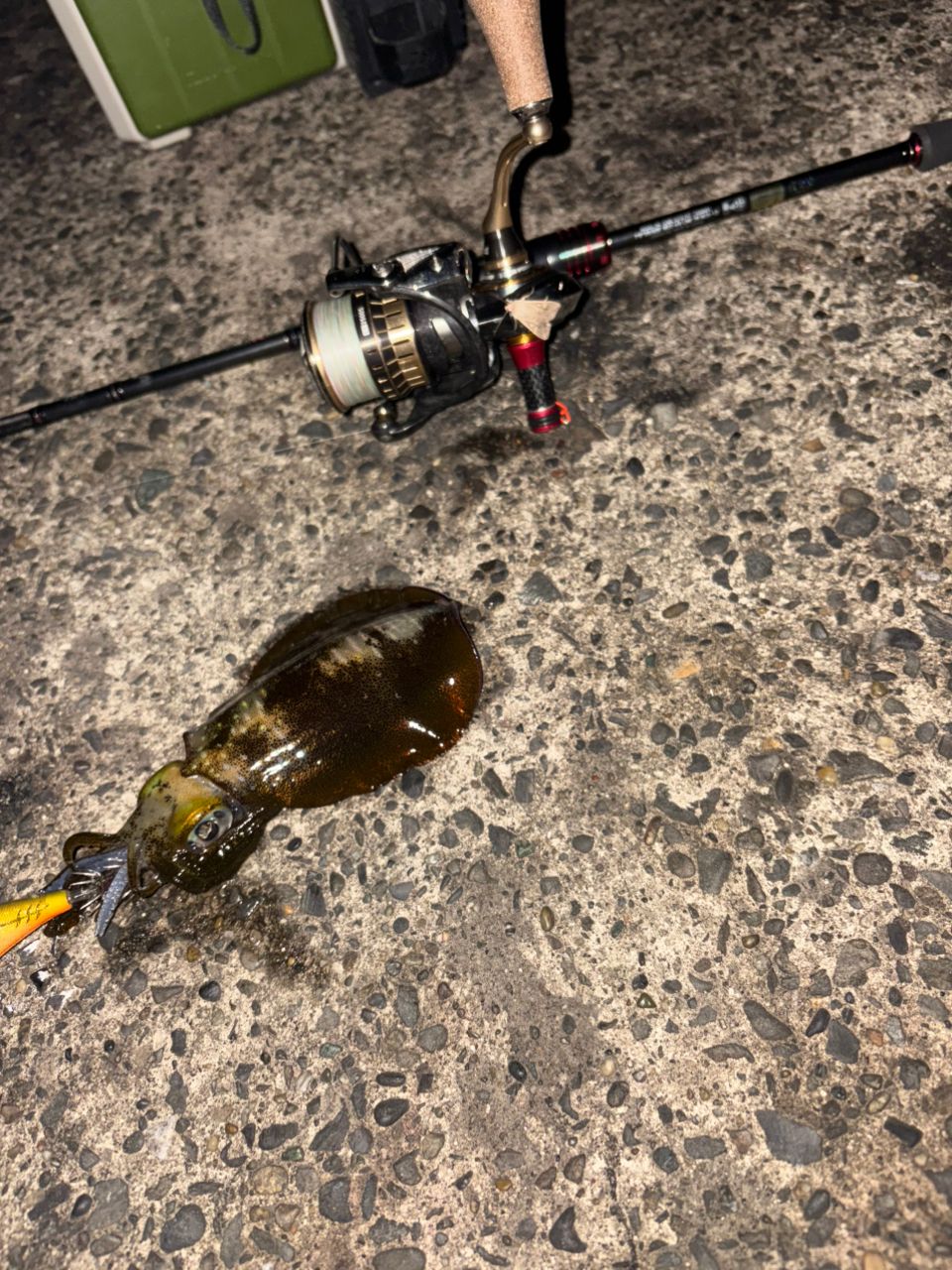 DAIWA 21エメラルダス ストイスト RT 76MMHの最安値・インプレ・釣果