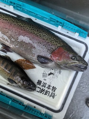 うらたんざわ渓流釣場