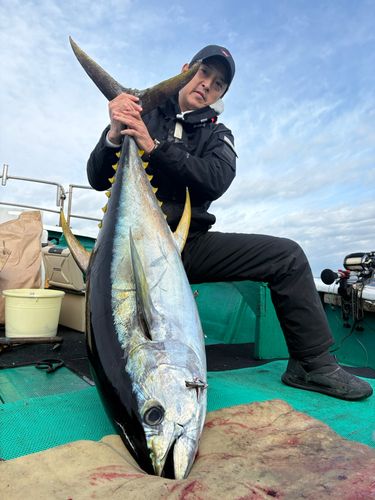 キハダマグロの釣果