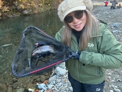 ニジマスの釣果