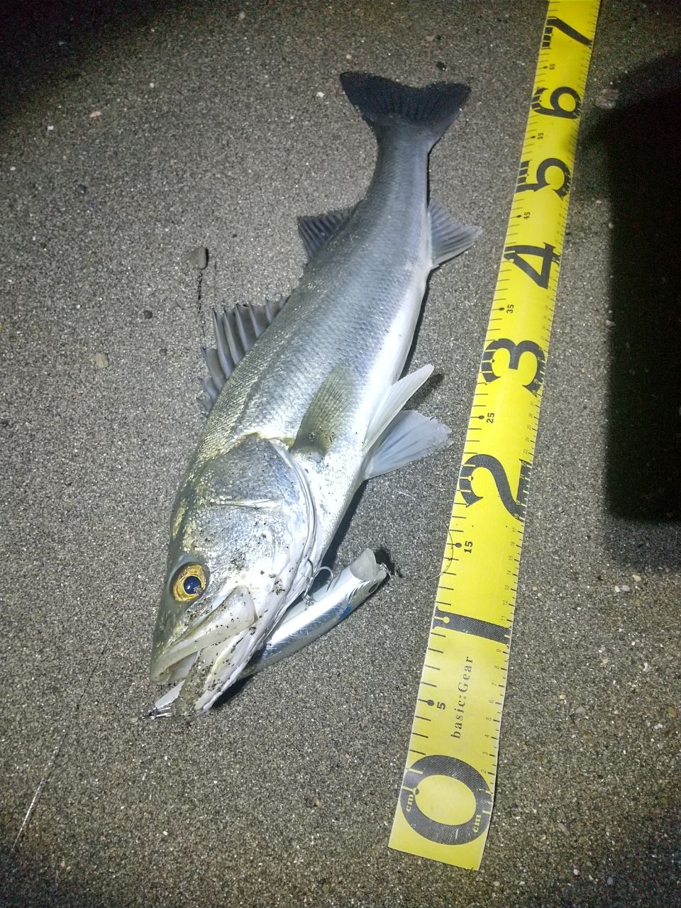 DAIWA 19ラテオ R 100Mの最安値・インプレ・釣果 | 本音の口コミが