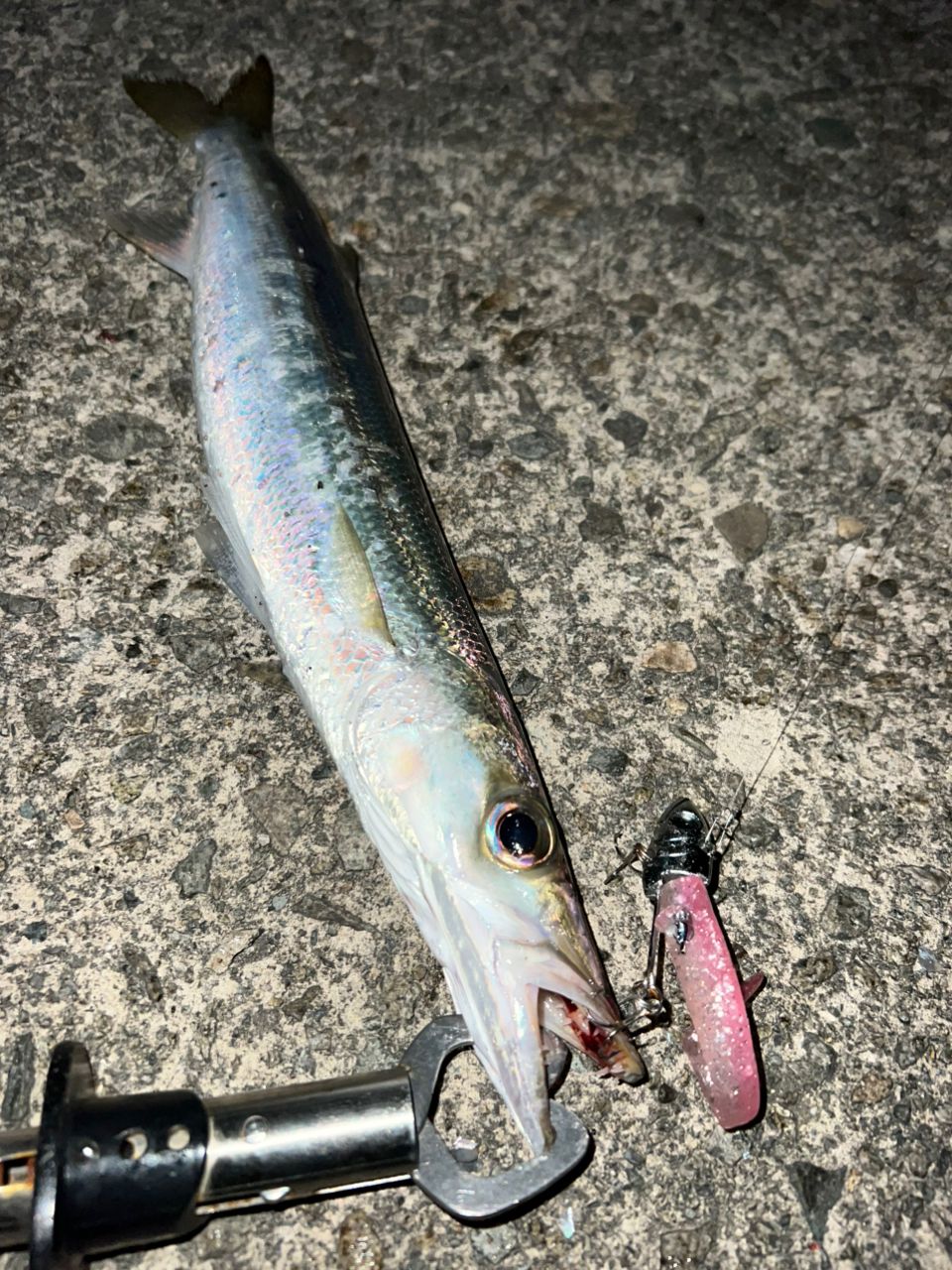 SHIMANO 23ヴァンキッシュ C3000MHGの最安値・インプレ・釣果 | 本音の