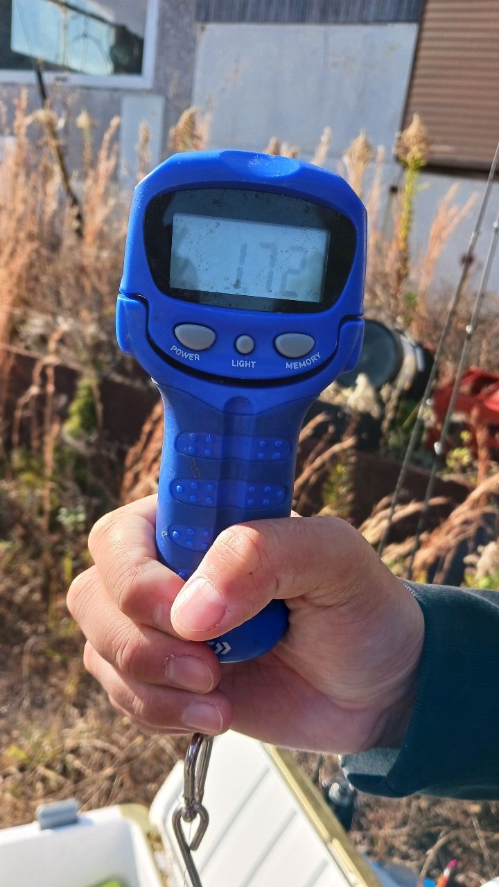 hama_k_1918さんの釣果 2枚目の画像