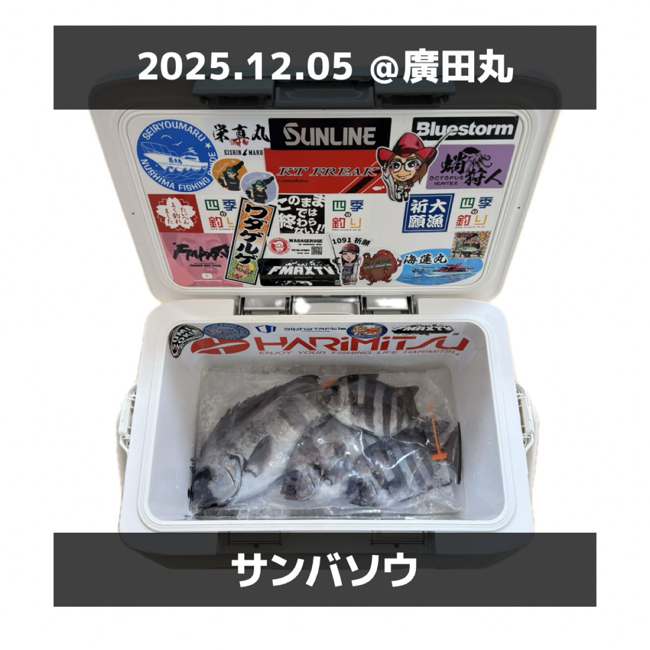 SHIMANO 20オシアコンクエスト リミテッド 200HGの最安値・インプレ