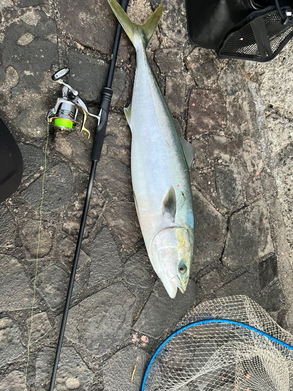 ディアルーナs106ml ティップのみ ディアルーナs106ml ティップのみ ディアルーナs106ml ティップのみ