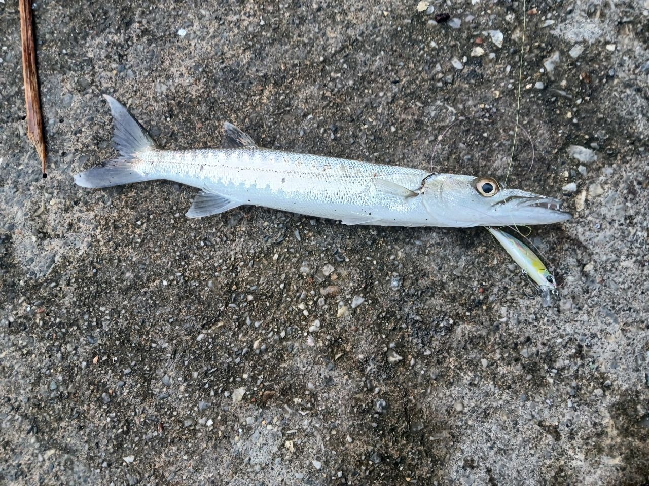 SHIMANO 21ソアレXR S68UL-Sの最安値・インプレ・釣果 | 本音の口コミ