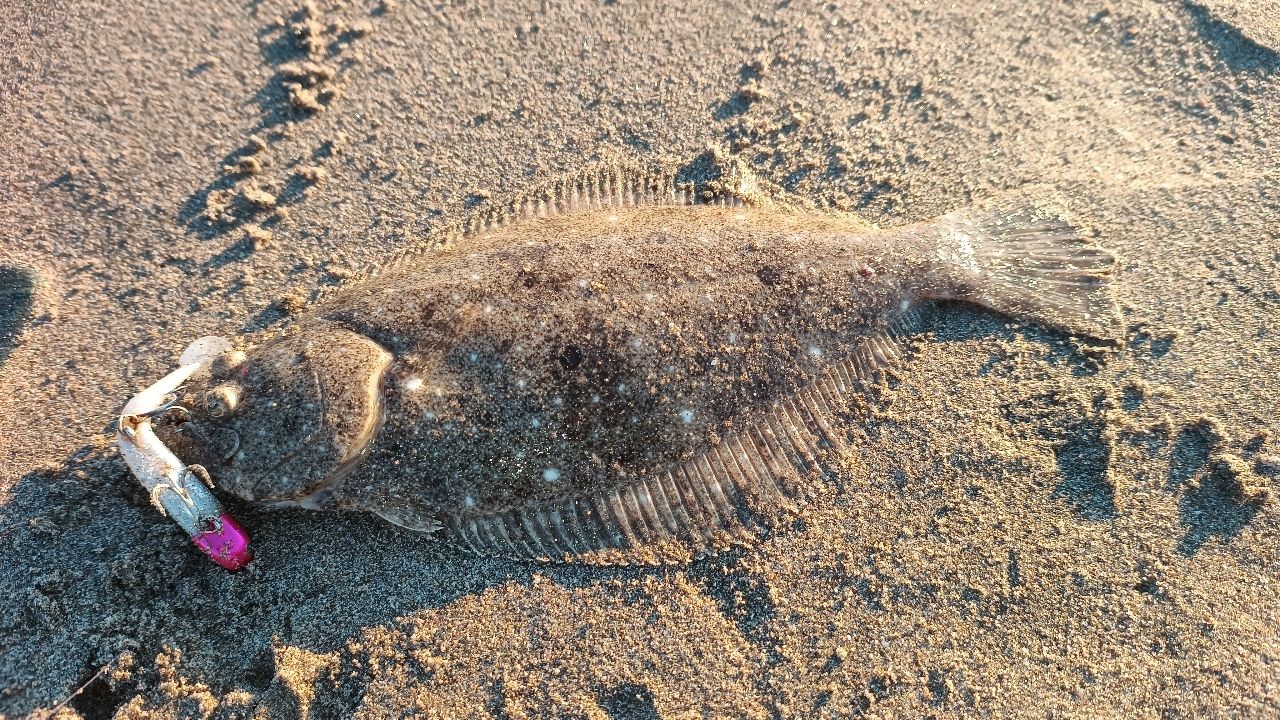 ジャクソン　サーフトライブ1082ML 中古　 ステッカー9㎝□付き ジャクソン サーフトライブ1082ML 中古 ステッカー9㎝□付き