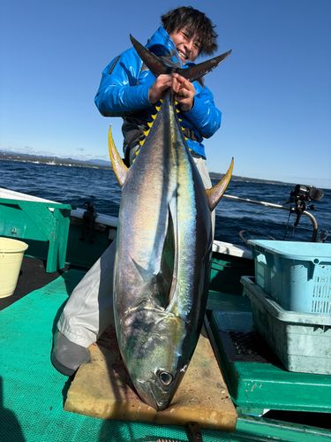 キハダマグロの釣果