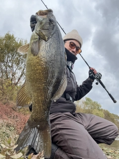 スモールマウスバスの釣果