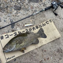 スモールマウスバス