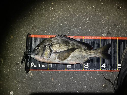 東京湾（アクアライン〜富津）