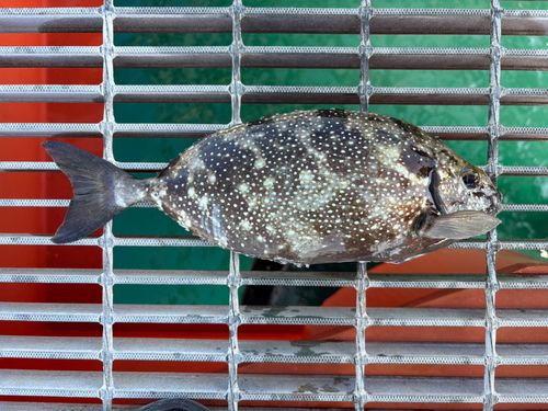 鴨池海づり公園