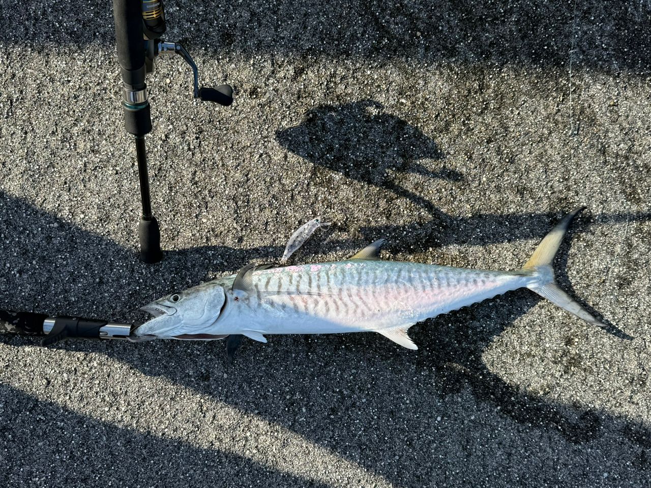 63▢ダイワ 20エメラルダスAIR AGS 86ML．R NH0906-4 ダイワ エメラルダス AIR AGS 86MH (ロッド・釣竿) 価格比較 - 価格.com