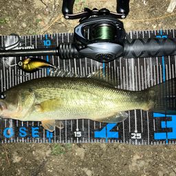 福岡県 の釣行 - アングラーズ | 釣果600万件の魚釣り情報サイト