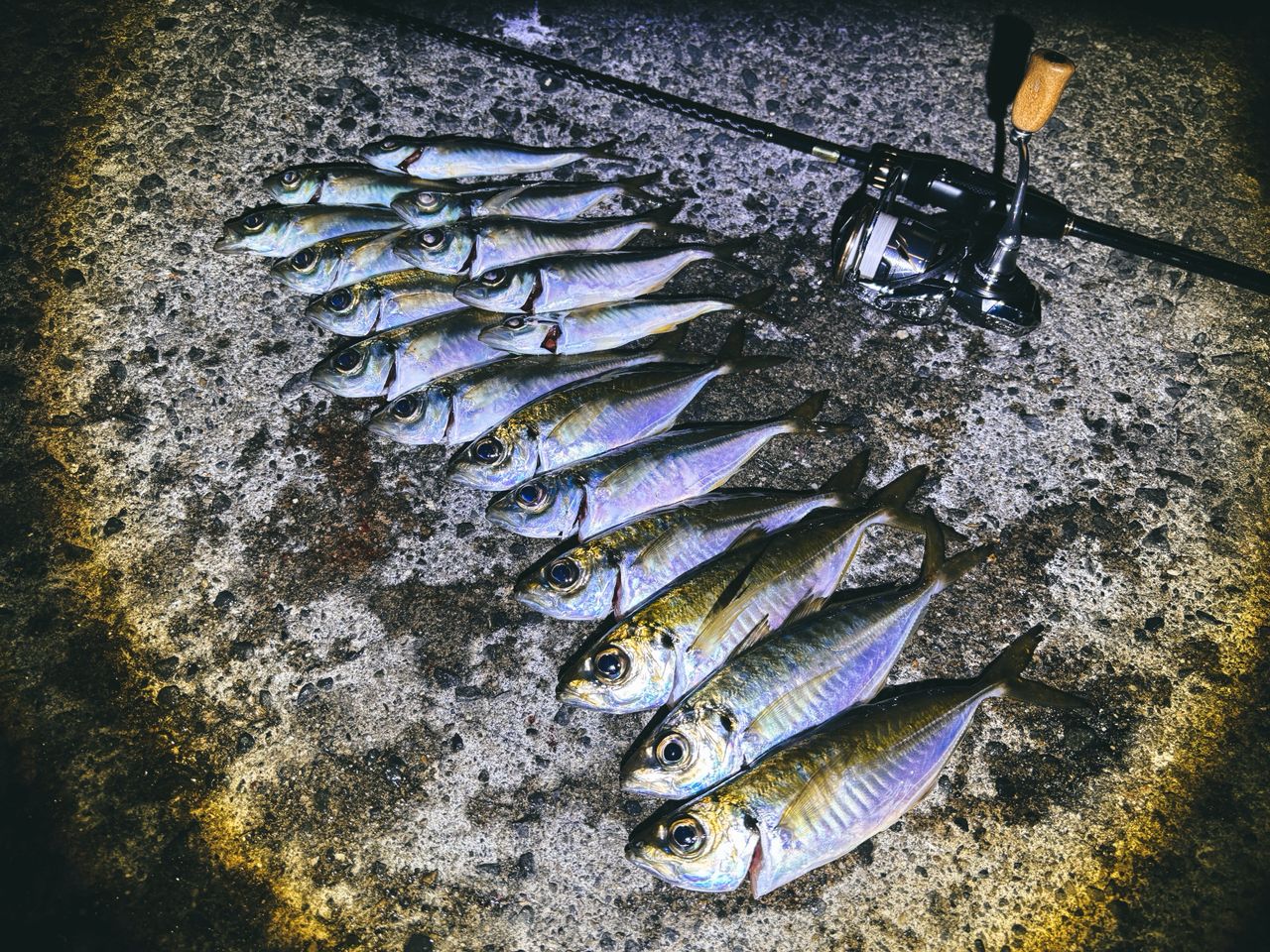 シマノ　18ソアレSS S610SUL-S SHIMANO シマノ ソアレSS アジング S610SUL-S 6フィート10インチ CODE